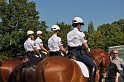 Polizeidirektion   151
